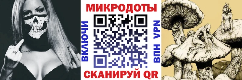 блэк спрут вход  Кизел  Псилоцибиновые грибы Magic Shrooms 